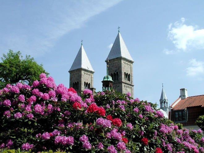 Sommerbillede af gamle bygninger i Viborg 